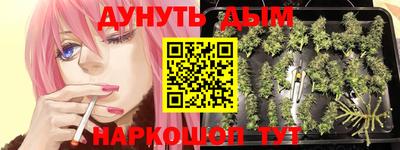 прущие грибы Коломна