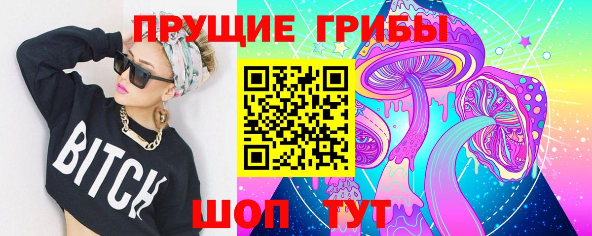 Галлюциногенные грибы Cubensis Гулькевичи