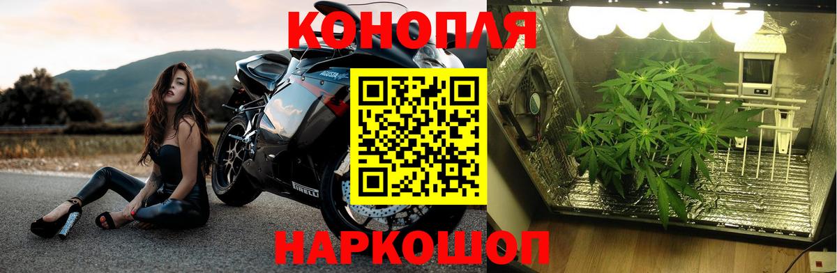 Марихуана VHQ  Канабис марихуана  Гулькевичи  Вход с VPN  Каннабис ГИДРОПОН 